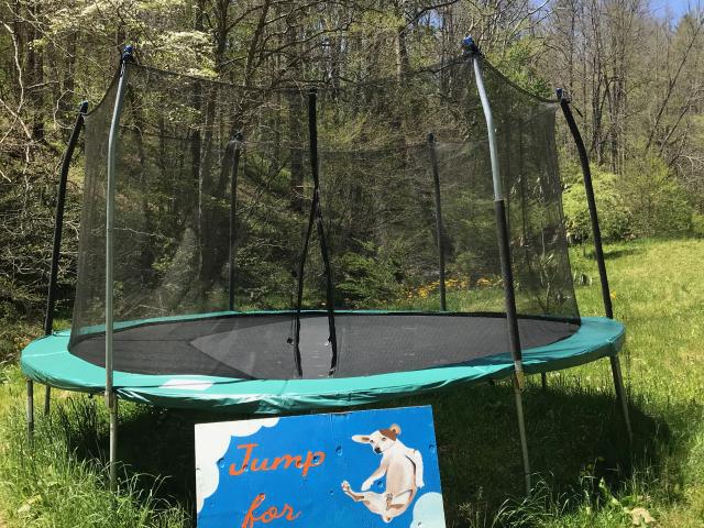 Jump for joy